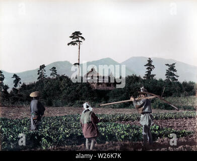 [ 1890 ] Les agriculteurs japonais - Japon - Les personnes qui travaillent dans le domaine. 19e siècle vintage albumen photo. Banque D'Images