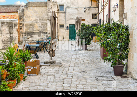 Un beau chat noir et blanc errants court en avant dans un petit jardin en terrasse dans la vieille ville de Matera, Italie. Banque D'Images