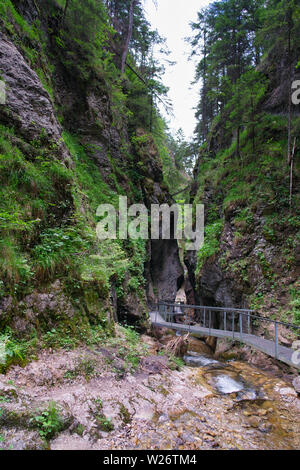 Gorge étroite Janosikove Diery avec passerelle métallique et ruisseau de montagne dans le parc national de Mala Fatra près de Terchova, Slovaquie. Banque D'Images