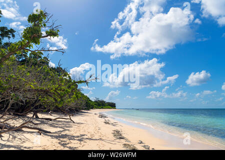 Plage sur l'île Green, un Coral Cay dans la Great Barrier Reef Marine Park, Queensland, Australie Banque D'Images