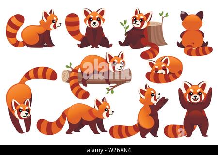 Jeu de cute adorable panda rouge dans différentes poses design dessin animé personnage animal vecteur illustration style plat sur fond blanc. Illustration de Vecteur