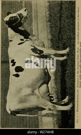 Image d'Archive de la page 39 d'élevage laitier (1916)