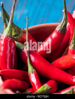 Vue de dessus rouge mûre piments frais dans un bol plus ancienne en bois fond bleu. Banque D'Images