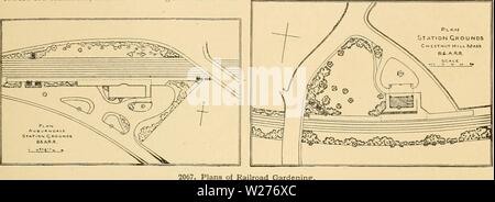 Image d'archive à partir de la page 45 de la Cyclopaedia of American horticulture Banque D'Images