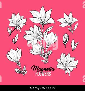 Magnolia blossom freehand illustrations vectorielles. Pétales de fleurs japonais blanc sur fond rose. Plante en fleurs et bourgeons gravures noir et blanc. Carte postale, carte de voeux design elements Illustration de Vecteur