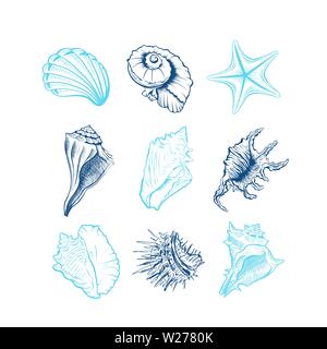 Les coquillages hand drawn vector illustrations set. Les animaux sous l'eau, étoiles, oursin encre bleue gravures isolé sur fond blanc. La faune océanique, conque en spirale des dessins. Autocollant, tatouage Illustration de Vecteur