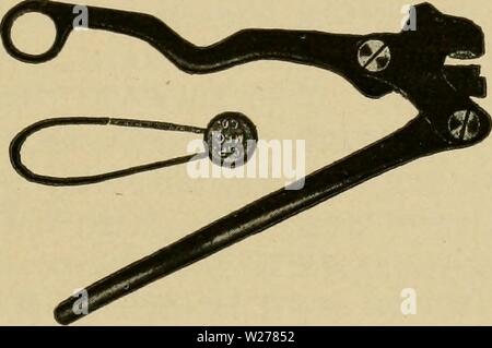 Image d'archive à partir de la page 250 de l'élevage laitier (1916) Banque D'Images