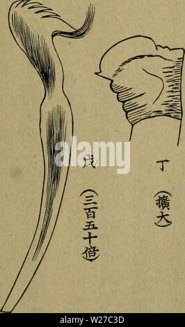 Image d'archive à partir de la page 262 de l'Dbutsugaku zasshi (1889) Banque D'Images
