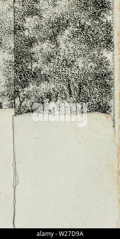 Image d'archive à partir de la page 266 de De la composition des parcs Banque D'Images