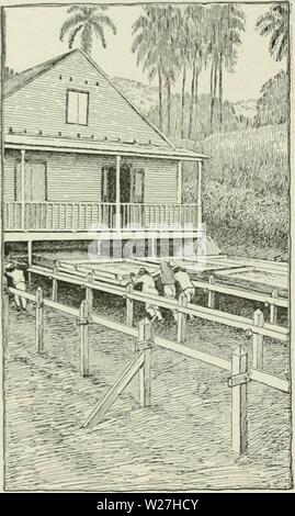 Image d'archive à partir de la page 281 de Cyclopedia de récoltes . Cyclopedia de cultures agricoles : une étude des cultures populaires et des méthodes de récolte aux États-Unis et Canada Année bailuoft cyclopediaoffarm00 : 1922, c1907 44 Café Café au sujet de la troisième année, les jiving cultures jusqu'à l'tifth la lumière ou de la sixième année. Les arbres fleurissent au moins trois fois par an, l'épanouissement, la grande floraison, et l'après floraison. Ces derniers se produisent dans les mois de Février, Mars, Avril et Mai, en fonction de l'emplacement. En général après 7 ou Fig. 351. Méthode de café de séchage au soleil dans des tiroirs qui sont glissés Banque D'Images