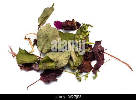 Les herbes sèches Feuilles et fleurs isolé sur fond blanc Banque D'Images