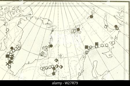 Image d'archive à partir de la page 308 de l'Ingolf danois-Expedition (1899-1953). L'expédition danoise Ingolf-danishingolfex daniuoft3CPT8Année : 1899-1953 LES CRUSTACÉS Malacostracés. VII. 227 W.Groenland : Fylla's Banke, 50111. (O. Hagerup jambe. 107-1925). -- L'Ikertokfjord (S. de Holsteinsborg), 30 m., pierres d'algues ('Fylla' 3-8-1886, Th. Holm leg.). -- Holsteinsborg (profondeur Non noté), et le même lieu, sur le Pecten-Bank, 140 m. (Traustedt la jambe. 181 - la Banque en dehors de Hol- steinsborg, 34111 Balanidse., coquilles de ('Ingolf' 6-7-1895). - Holsteinsborg, du port, de 15 à 19 m. ('Ingolf' 9-7-1895). Banque D'Images