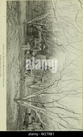 Image d'archive à partir de la page 308 du Ministère bulletin (1900). Bulletin departmentbullet Ministère de l'unité Année : 190020Bull. 20, Div. Veg. Pliys. Il Pjth., U. b. D&Lt ;|)1. ct AgiKuiture. XXVII de la plaque. Banque D'Images