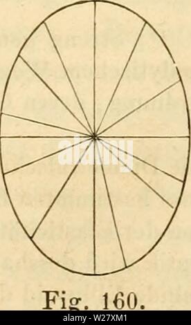 Image d'archive à partir de la page 326 de Das Mikroskop, Theorie und Anwendung. Das Mikroskop, Theorie und Anwendung desselben dasmikroskoptheo01ng Année : 1867 anisotroper krystallälinlicher Verhalten Körper, 307 an den Objecttisch Stellschrauben eingerichtet und mit zum Centriren versehen. Die Scheibe hikl kann in ihrer eigenen Ebene und über- diess um die wagrechte Ax gh gedreht werden. II. Das Verhalten anisotroper krystallähnlicher Körper, . à l'beobachtet. Wir uns jetzt zum wenden Erörterung der Erscheinungen, welche 276 krystallähnliche polarizirten anisotrope Körper im Licht hervorrufen. Nic Banque D'Images