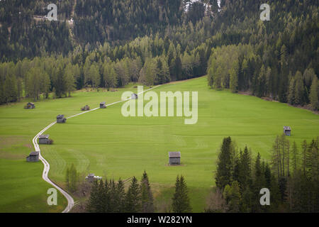 Vue d'une vallée dans les Alpes de la région Trentino avec le typique de granges (Tabia en italien) et les Dolomites sur l'arrière-plan. Banque D'Images