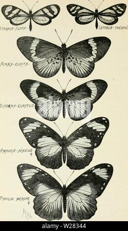 Image d'archive à partir de la page 351 de Darwin, Darwin et après une Banque D'Images