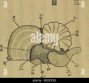 Image d'archive à partir de la page 351 d'Dbutsugaku zasshi (1889) Banque D'Images