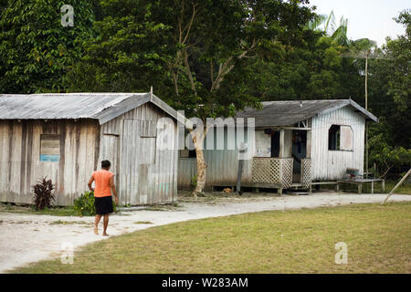 Maisons, Boa Esperança Communauté, Cuieiras River, Amazonie, Manaus, Amazonas, Brésil Banque D'Images