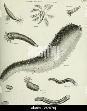 Image d'archive à partir de la page 374 de la Cyclopaedia ; ou, dictionnaire universel Banque D'Images