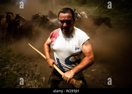 Les chevaux sauvages sont entassés ensemble dans les collines pendant la RAPA DAS BESTAS festival le Rapa de bêtes, traduit comme la tonte des animaux, a lieu le premier week-end de juillet pour quatre jours en Sebucedo, Espagne. Des centaines de chevaux sauvages ont été arrondis et cloué au sol pour un sèche-cu dans le cadre de la tradition. Banque D'Images