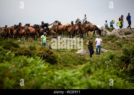 Les villageois de chevaux sauvages pour leur assemblée annuelle RAPA DAS BESTAS (Maîtrise des bêtes) festival à Estrada.chevaux sauvages sont capturés dans les collines et pris vers le village de Sabucedo à être cisaillés et marqués dans cette vieille tradition galicienne. Banque D'Images
