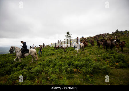 Les villageois de chevaux sauvages pour leur assemblée annuelle RAPA DAS BESTAS (Maîtrise des bêtes) festival à Estrada.chevaux sauvages sont capturés dans les collines et pris vers le village de Sabucedo à être cisaillés et marqués dans cette vieille tradition galicienne. Banque D'Images