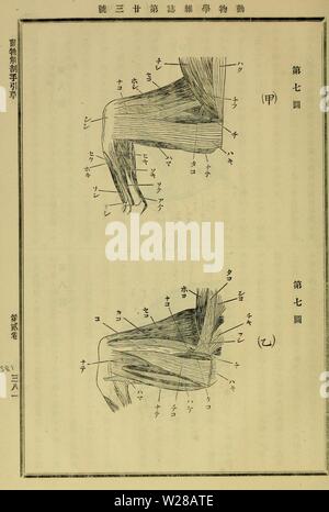 Image d'archive à partir de la page 403 de l'Dbutsugaku zasshi (1889) Banque D'Images