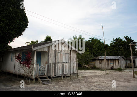 Maisons, Boa Esperança Communauté, Cuieiras River, Amazonie, Manaus, Amazonas, Brésil Banque D'Images