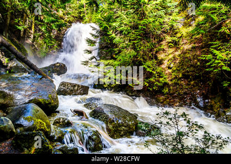 La neige printanière tumbling au sciage et cailloux sur Mcgillivray Creek entre Whitecroft et Sun Peaks dans les hautes terres de Shuswap en C.-B., Canada Banque D'Images