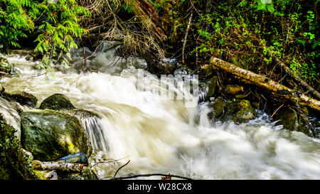 La neige printanière tumbling au sciage et cailloux sur Mcgillivray Creek entre Whitecroft et Sun Peaks dans les hautes terres de Shuswap en C.-B., Canada Banque D'Images