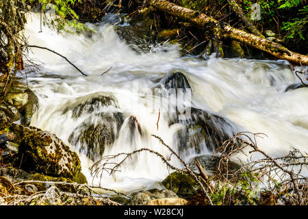 La neige printanière tumbling au sciage et cailloux sur Mcgillivray Creek entre Whitecroft et Sun Peaks dans les hautes terres de Shuswap en C.-B., Canada Banque D'Images