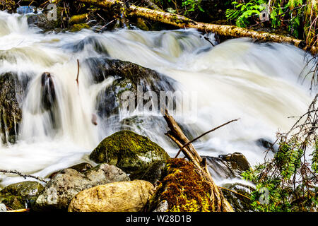 La neige printanière tumbling au sciage et cailloux sur Mcgillivray Creek entre Whitecroft et Sun Peaks dans les hautes terres de Shuswap en C.-B., Canada Banque D'Images