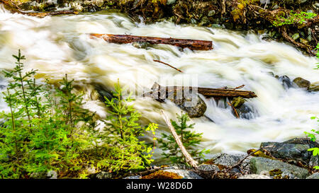 La neige printanière tumbling au sciage et cailloux sur Mcgillivray Creek entre Whitecroft et Sun Peaks dans les hautes terres de Shuswap en C.-B., Canada Banque D'Images