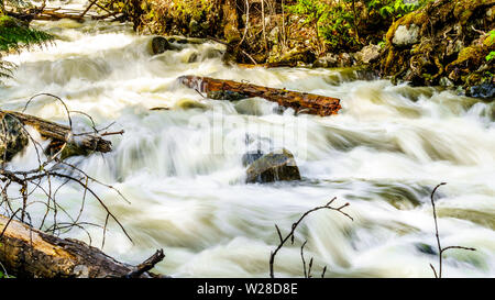 La neige printanière tumbling au sciage et cailloux sur Mcgillivray Creek entre Whitecroft et Sun Peaks dans les hautes terres de Shuswap en C.-B., Canada Banque D'Images