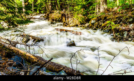 La neige printanière tumbling au sciage et cailloux sur Mcgillivray Creek entre Whitecroft et Sun Peaks dans les hautes terres de Shuswap en C.-B., Canada Banque D'Images