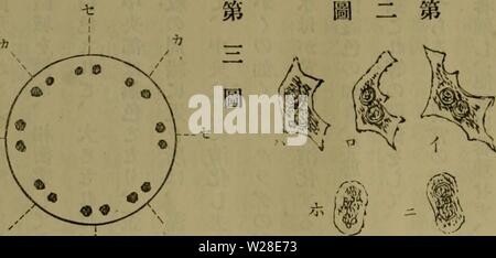Image d'archive à partir de la page 431 de l'Dbutsugaku zasshi (1889) Banque D'Images