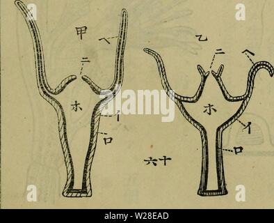 Image d'archive à partir de la page 432 d'Dbutsugaku zasshi (1889) Banque D'Images