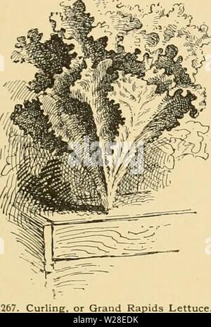 Image d'archive à partir de la page 434 de Cyclopedia of American horticulture
