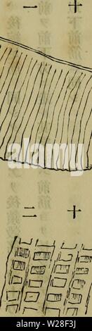 Image d'archive à partir de la page 440 du Dbutsugaku zasshi (1889)