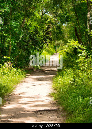 Une marche autour de Wekiwa Springs State Park Banque D'Images