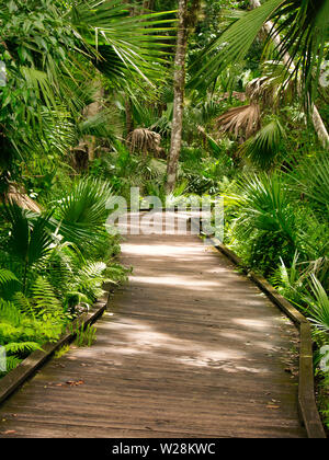 Une marche autour de Wekiwa Springs State Park Banque D'Images