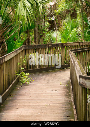 Une marche autour de Wekiwa Springs State Park Banque D'Images