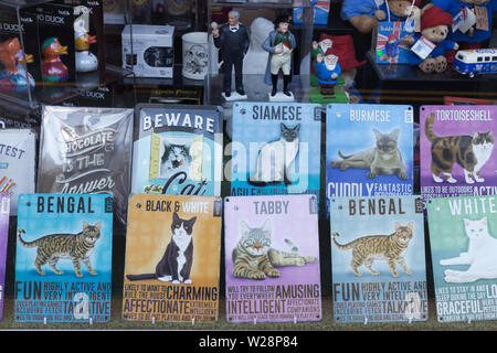 Chien et chat plaques dans une vitrine Banque D'Images