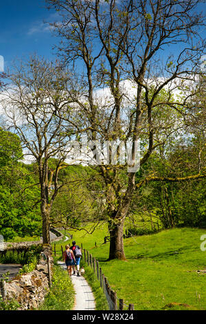 UK, Cumbria, Hawkshead, près de Sawrey, couple avec chien marche sur chemin routière ro loin Sawrey et Bowness Ferry Banque D'Images