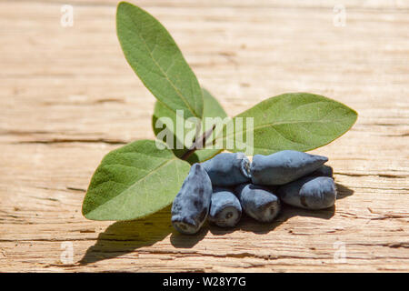 Honeyberry (Lonicera caerulea var. Kamtschatica), close up de fruits avec des feuilles sur planche de bois Banque D'Images