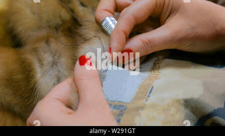 Manteau de fourrure réparation sur mesure Banque D'Images