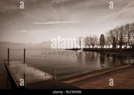 Photo d'un lac Léman à Lausanne Banque D'Images