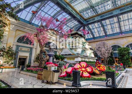 Spring floral au Bellagio Casino and Resort Conservatory Garden. Le jardin dispose de fleurs de saison qui changent avec les saisons Banque D'Images