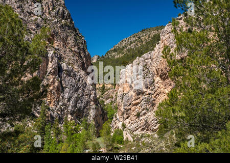 Des formations de roche karstique, Rio Guadalope canyon, route de Montoro de Mezquita, zone d'Organos de Montoro, Maestrazgo, province de Teruel, Aragon, Espagne Banque D'Images