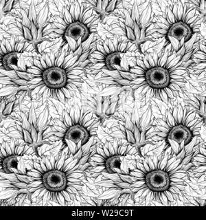 Le tournesol hand drawn seamless vector pattern. Blooming flower noir stylo encre de texture. Contours croquis illustration. Helianthus vintage dessin libre. Illustration de Vecteur